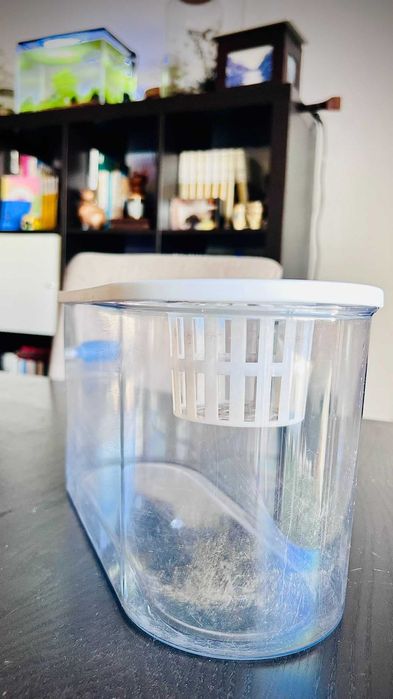 Aquário Oval Compacto com Suporte para Planta Aquapônico