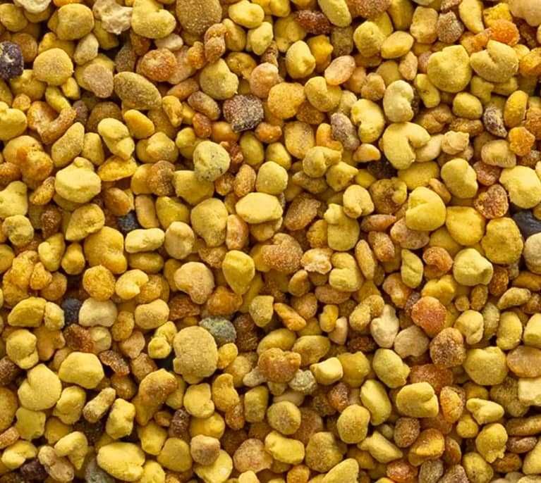 Пилок бджолиний (акація-різнотрав'я та соняшниковий)