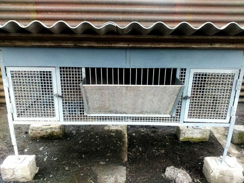 Клітки для кролів, нутрій