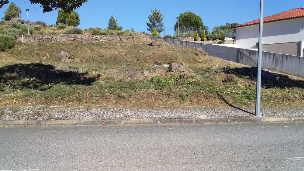 Limpeza de Terrenos, ruínas, mato junto a residências, etc