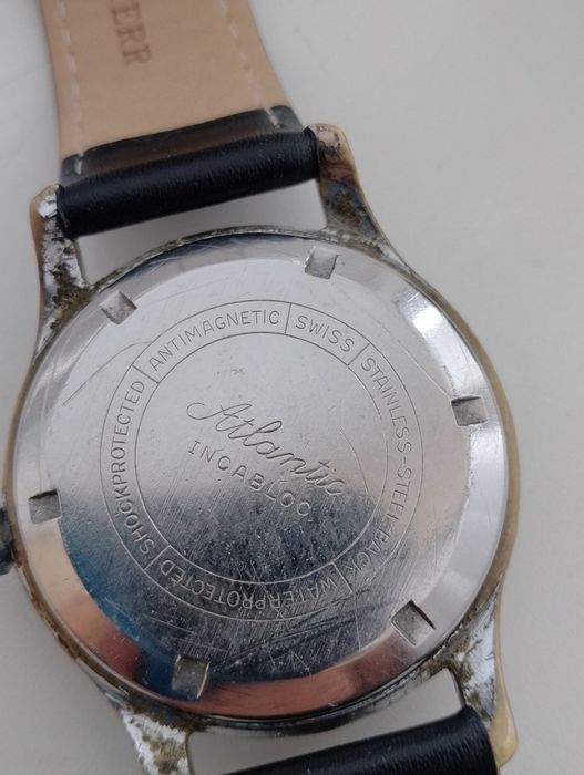 Atlantic Fabulosa, bardzo rzadki.