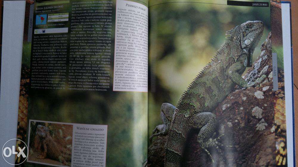 WIELKA Encyklopedia ZWIERZĄT OXFORD Educational - 30 tomów!