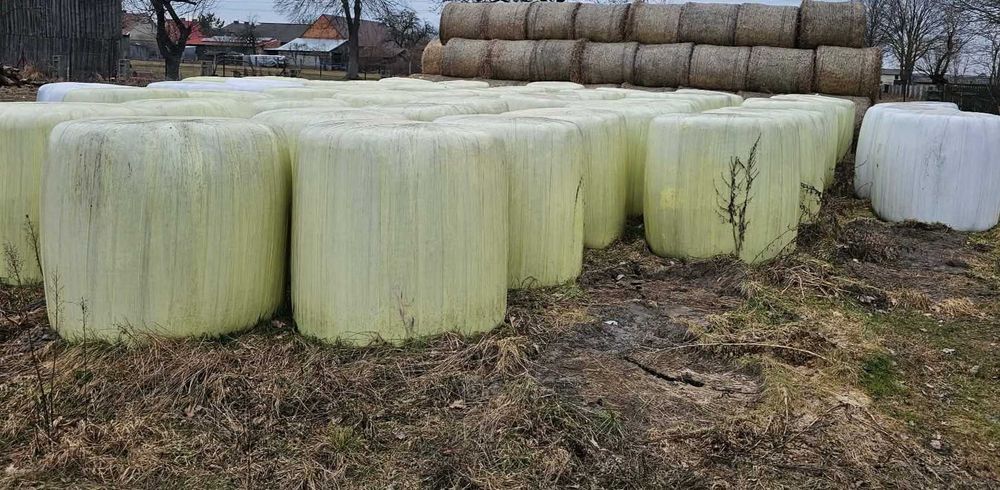 Słoma oraz sianokiszonka