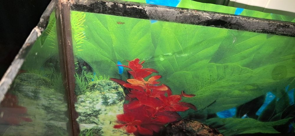 Акваріум на 65 л