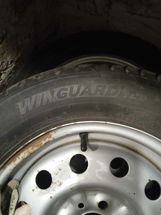 зимові шини з дисками : nexen 175×65×14 -3000, cordiant 175×65×14-2800