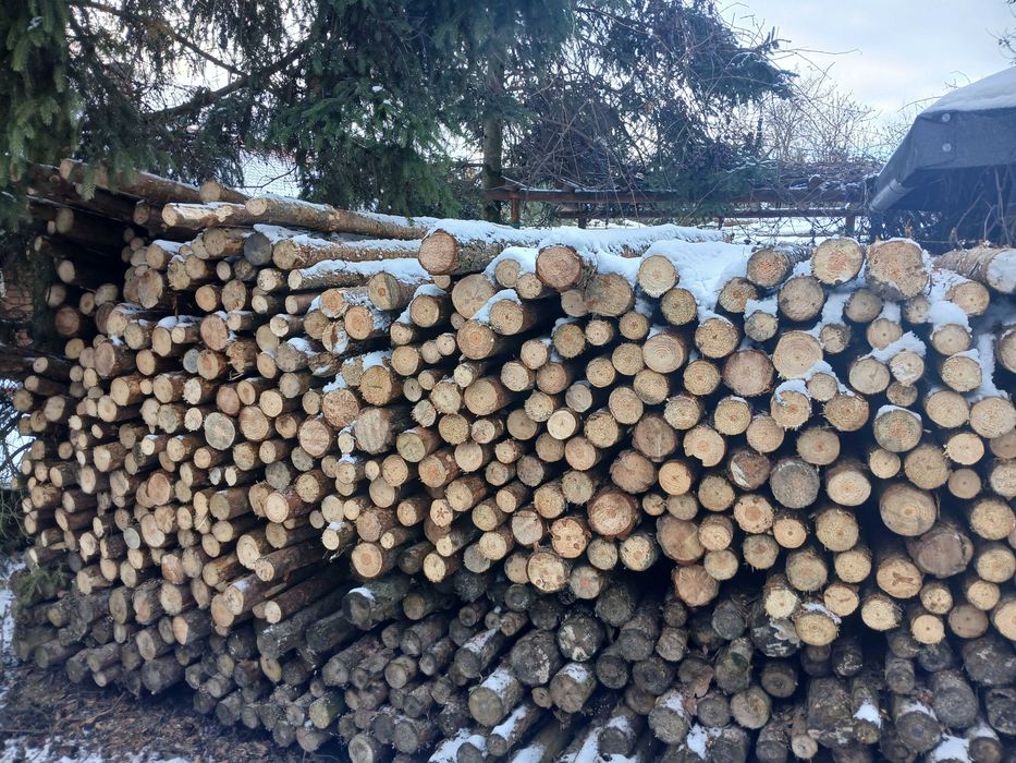 Stęple budowlane drewniane