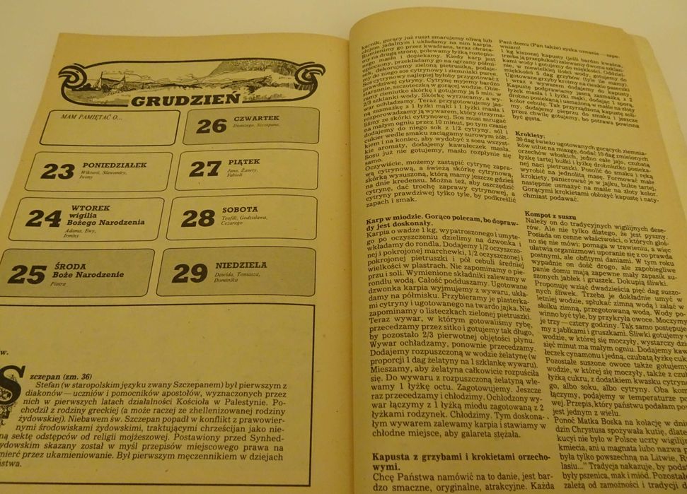 Kalendarz domowy babci Aliny 1991 Praca zbiorowa