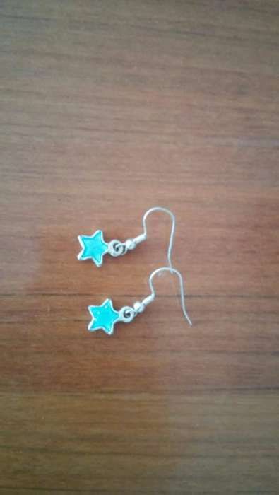 Bijuteria diversa nova