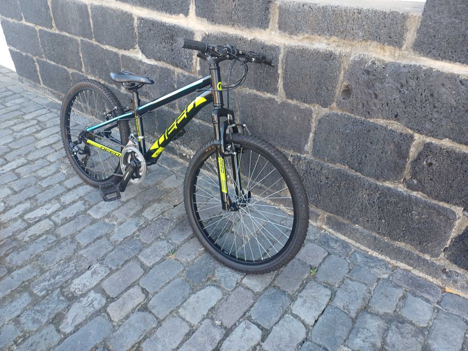 Bicicleta de montanha roda 24