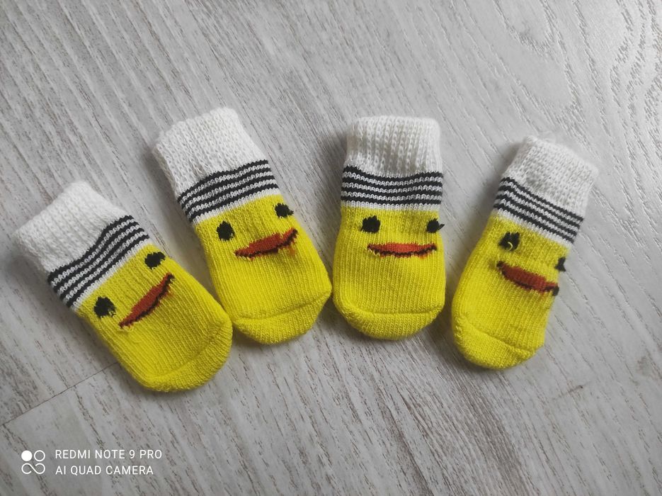 Яскраві носочки  собачці або котику.