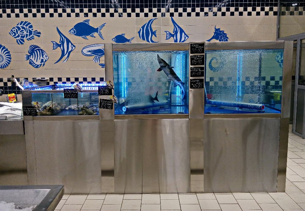 Изготовление аквариумов для торговли живой рыбой, устрицами, омарами