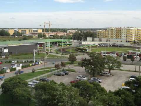 Zdjęcie 8