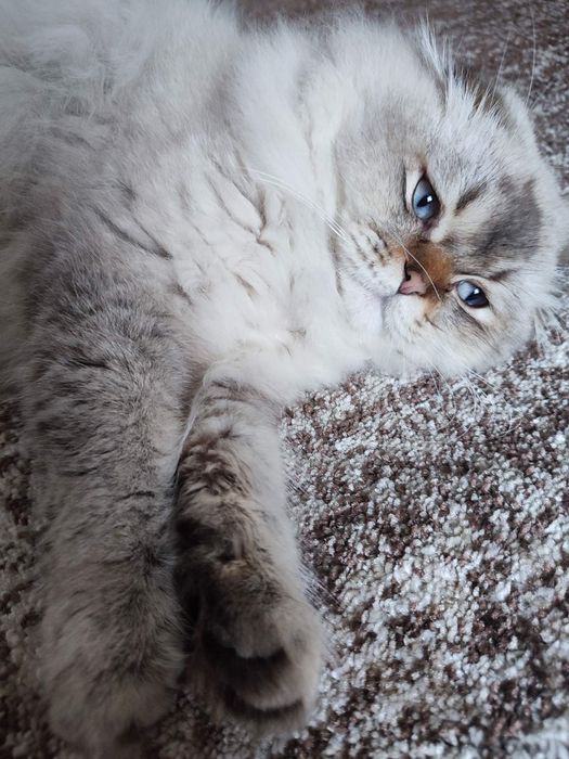 Будь ласка!!!SOS!!!ми не втрачаємо НАДІЮ