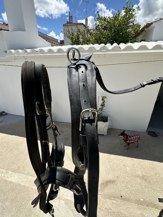 Arreio Completo Engate/Atrelagem Cavalo