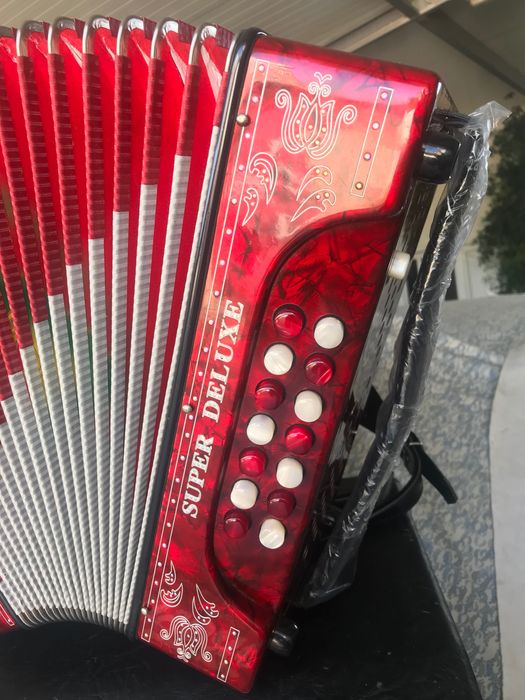 Vendo concertina da Famosa marca Pedrosini emenda SOL DO FA