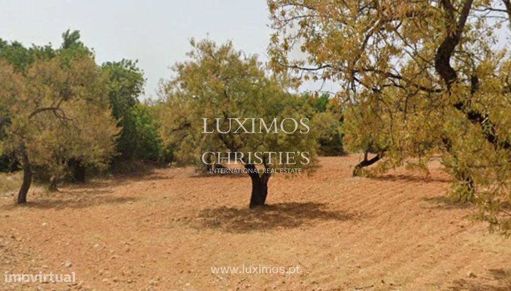 Terreno urbano com ruína, para venda em Conceição e Estói, Algarve