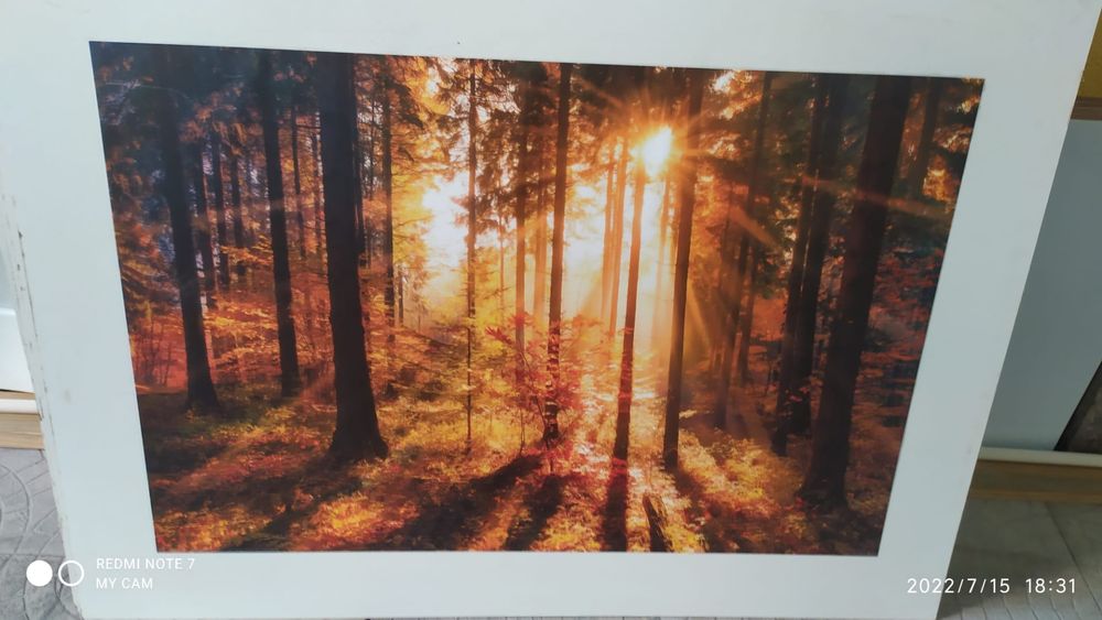 90x60 cm Prints425428010392637442