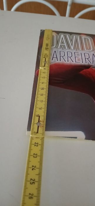 Poster David Carreira/The Vamps