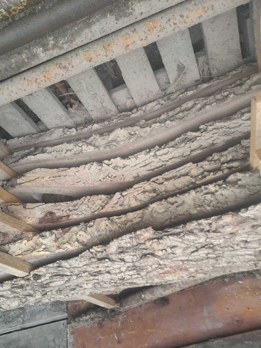 ORZECH drewno drzewo tarcica deski czaresnie