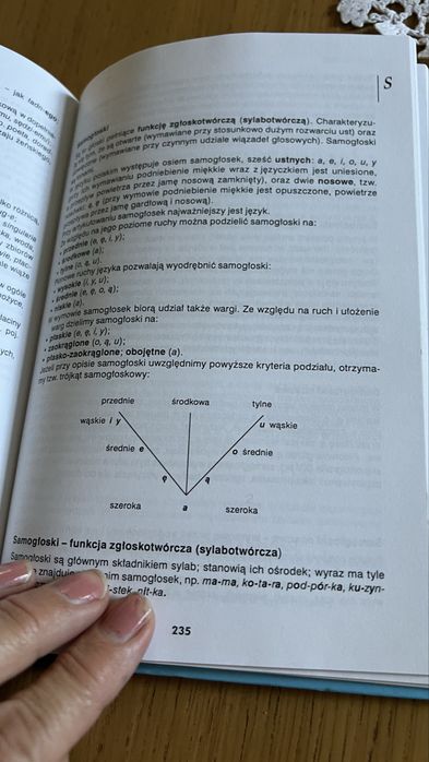 Słownik wiedzy o języku Iwona Płóciennik