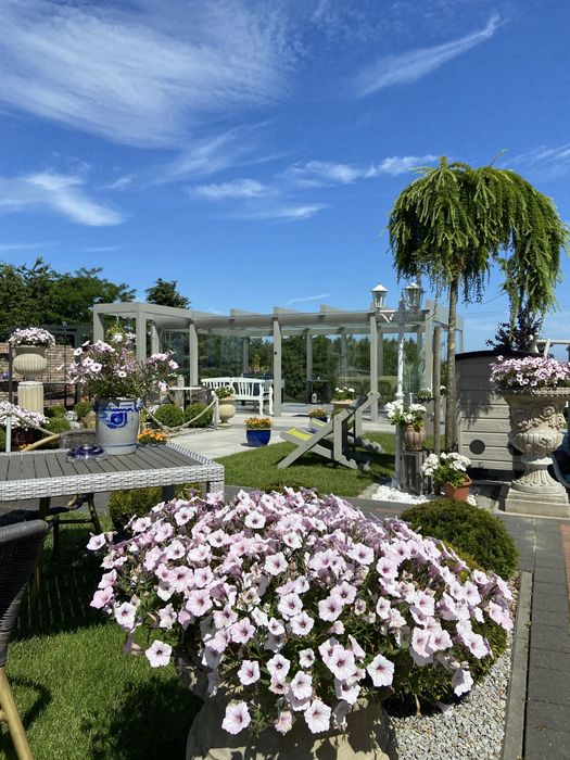 Domek1 Domki Wakacje Nad Morzem Podgrzewany Basen ŚWIETLICA DLA DZIECI