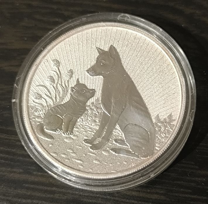 The Next Generation.Dingo.