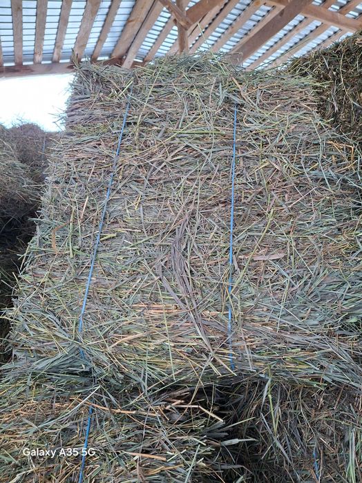 Сіно в тюках урожай 2025 р