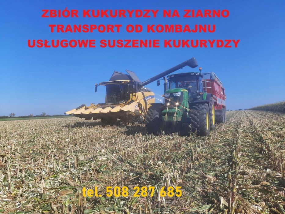 Omłot koszenie zbóż rzepaku i kukurydzy na ziarno