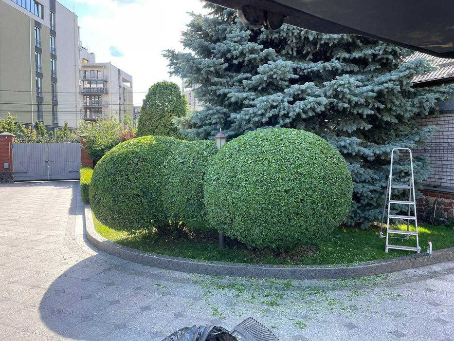 Професійний Садівник