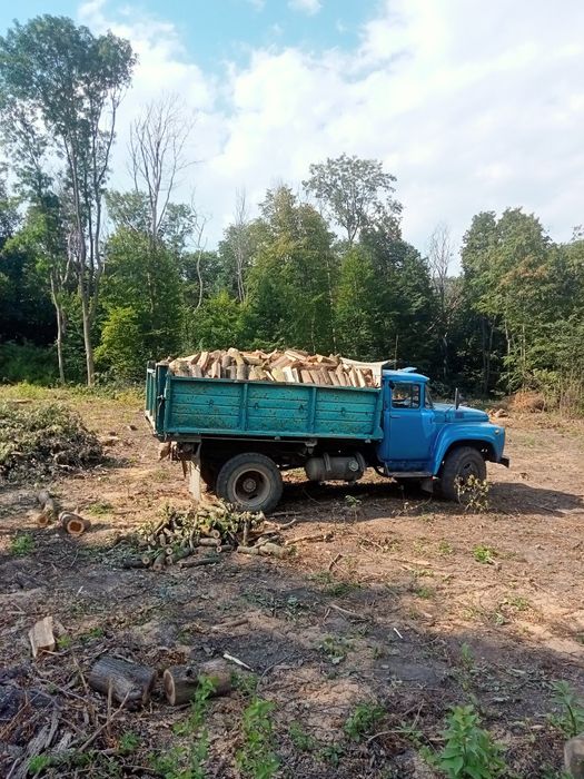 Дрова твердої породи акація ясень граб