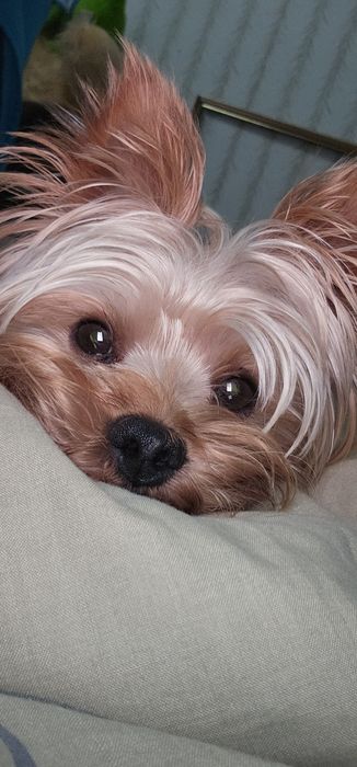 Приглашаем на вязку