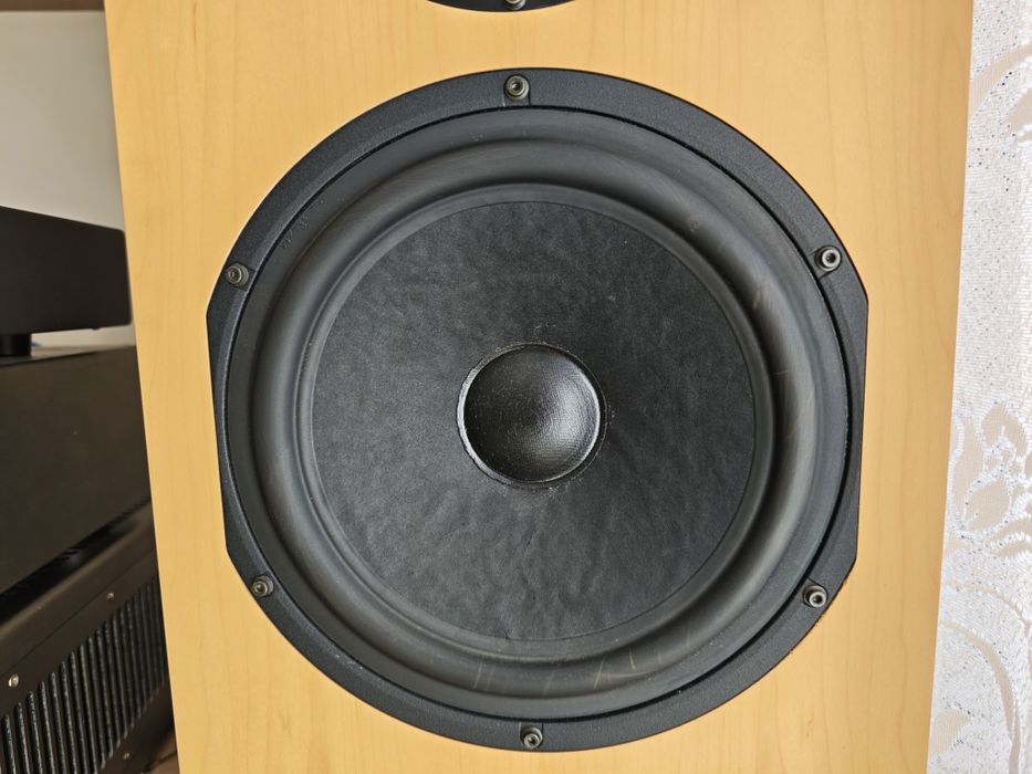 Kolumny T+A criterion TCI 1RE unikat