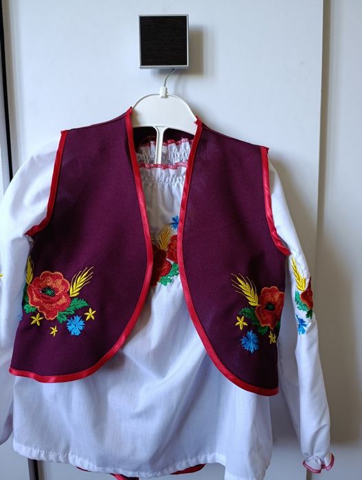 Вишиванка трійка вишита сорочка і спідничка