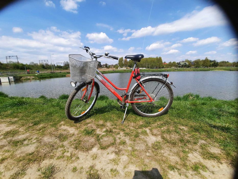 Rower Economic Chalennger