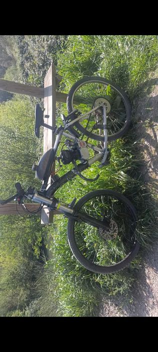 Bicicleta motorizada 100cc