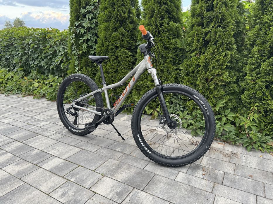 Scott Roxter 24”