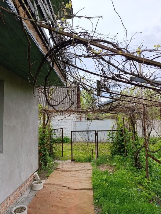 Дача поруч з лісом, міська межа !