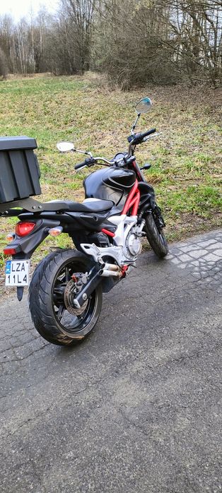 Suzuki gladius sfv650