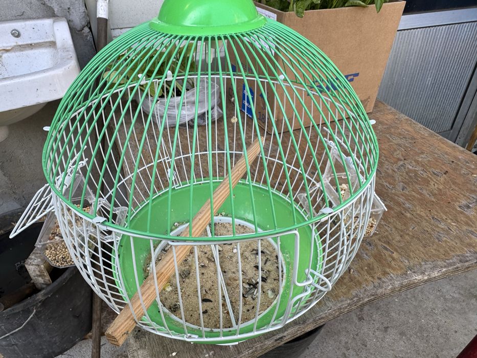 Gaiola verde / branca