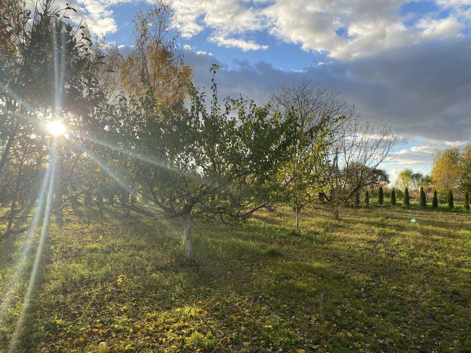 Продам будинок в с. Жидичин