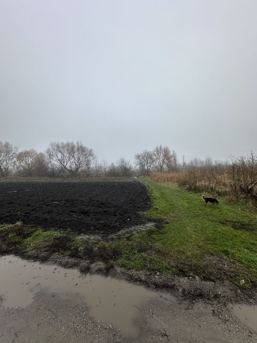 Продаж земельної ділянки по вул. Кавказька
