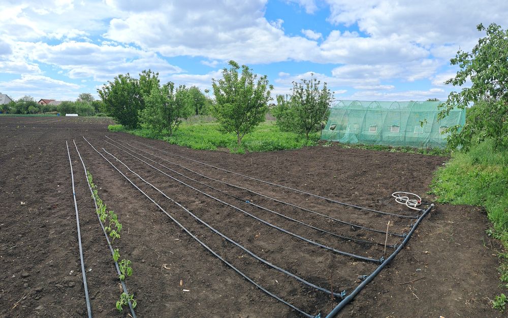 Продам дом в селе ОРЛОВЩИНА.