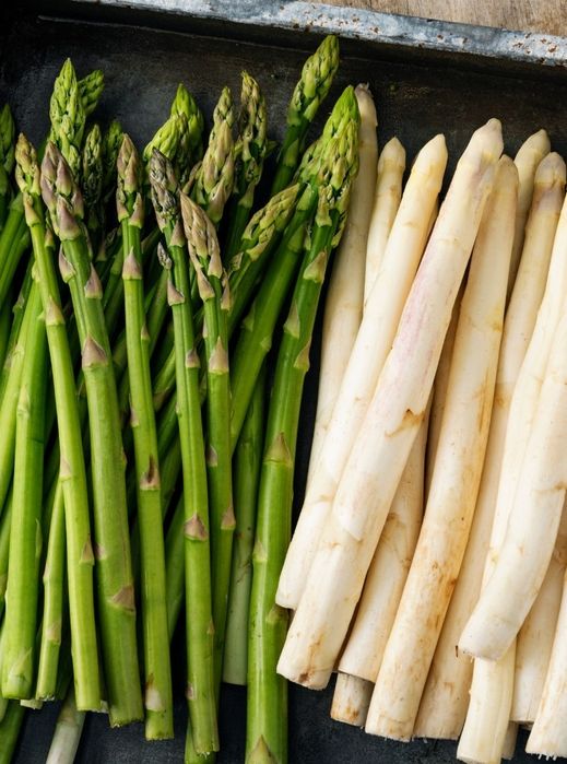 Szparagi Sadzonki 15 szt karpy odmiana xenolim