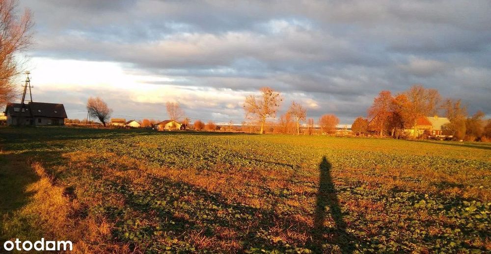 Działka budowlana 2622 m² | WZ | blisko S7 | spokojna okolica - Widok 4