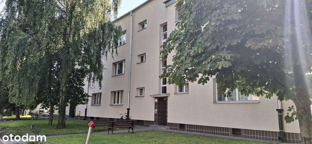 Piękne, duże i przytulne mieszkanie w zielonej okolicy