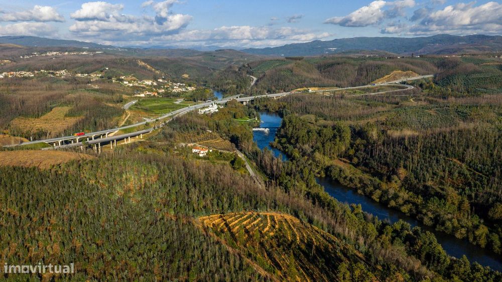 Terreno em Macinhata do Vouga