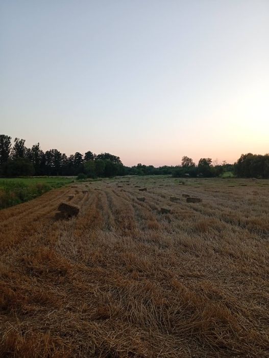 Продаю Тюки  Соломи