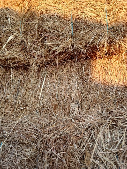 Vendo fardos de feno