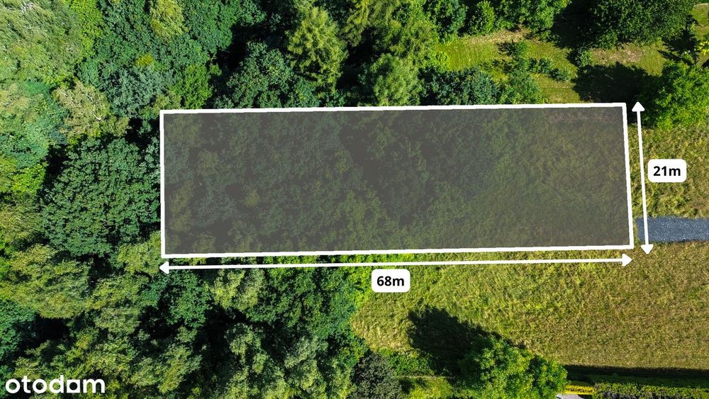 Działka w Wilchwach przy lesie 1452 m² - Widok 3