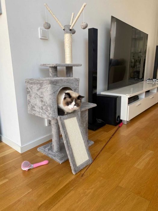 Drapak wysoki dla kota domek drzewko do drapania legowisko